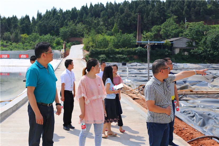 集團(tuán)第一檢查組檢查杰陽排水公司、固廢處置公司安全防汛和環(huán)保達(dá)標(biāo)各項(xiàng)工作3_副本